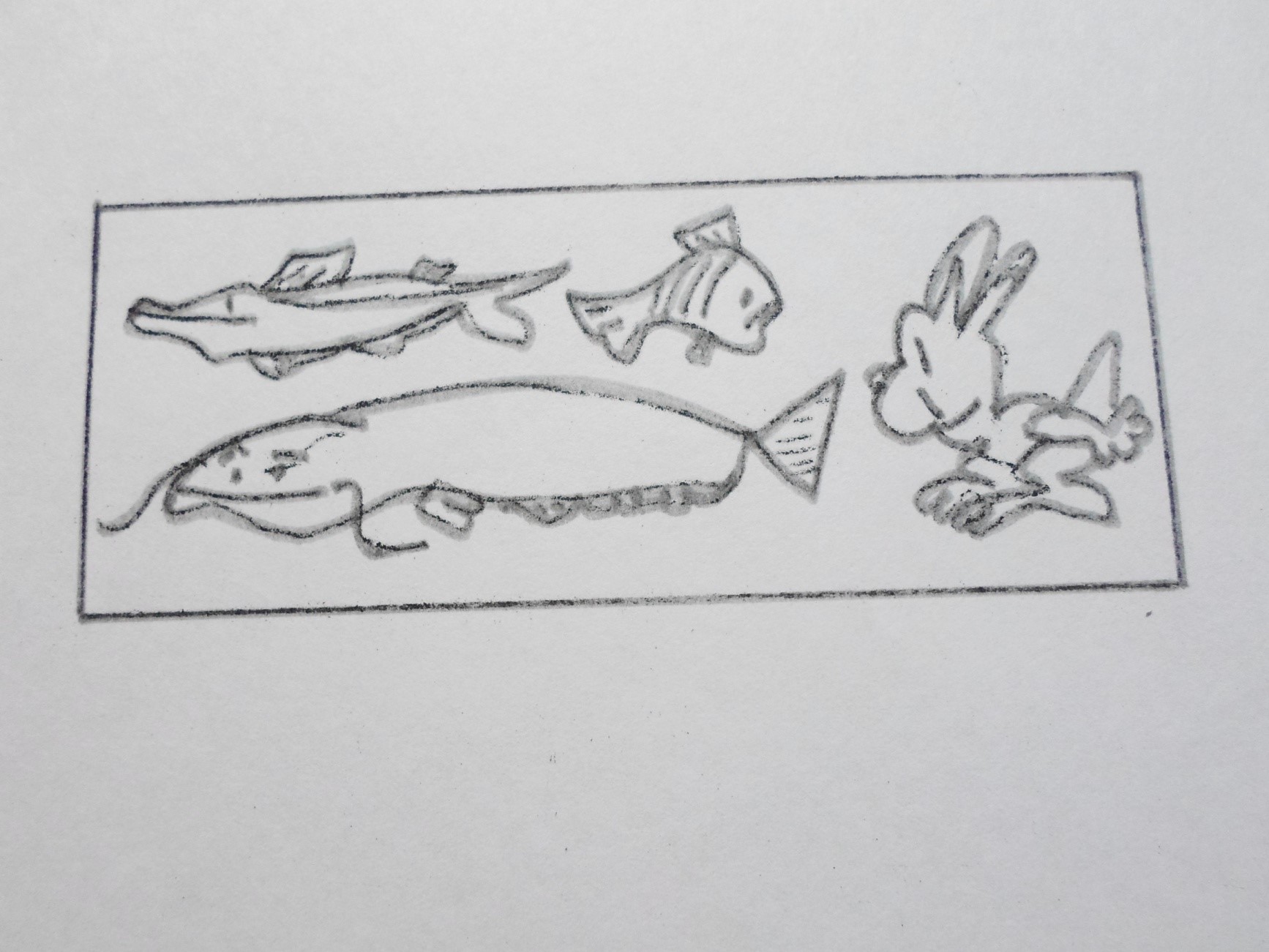 На рисунке изображены сом и щука. Дорисуй рыбе чешуйки. Раскраска голова, хвост, плавники рыбы на одном листе. Рыбка чтобы резать плавники и хвост ножницами из бумаги.